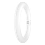 Osram LED Buis T9 Circulair (EM/Mains) 11W 1320lm - 840 Koel Wit | Vervangt 22W